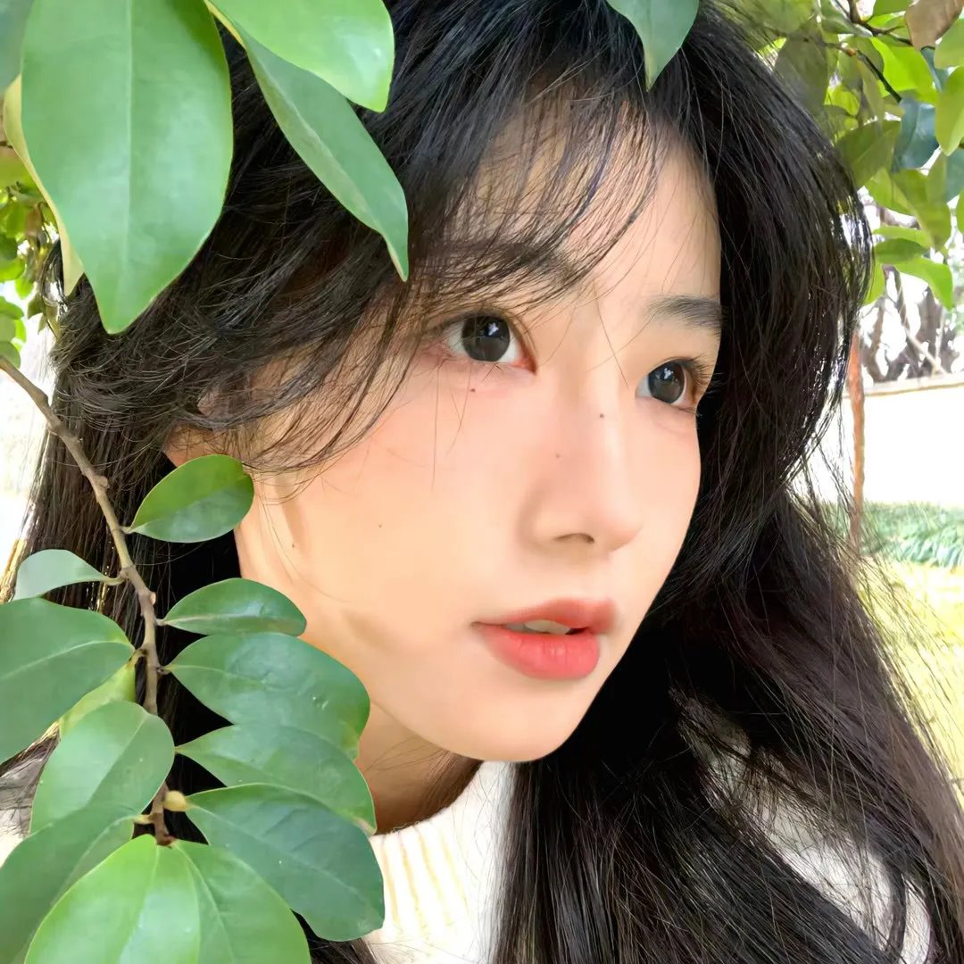时光代理人第二季